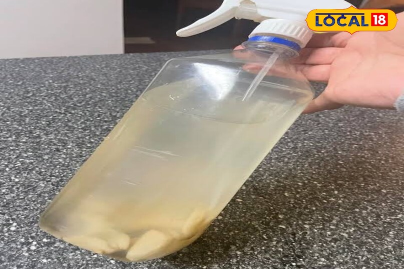 प्याज और लहसुन का स्प्रे