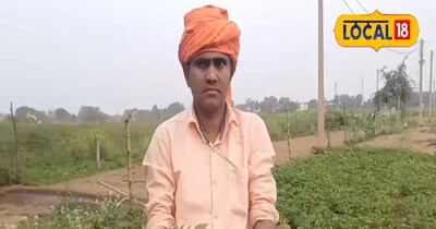 बड़े ही काम का है यह आलू 