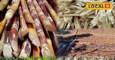 गन्ने का वेस्ट