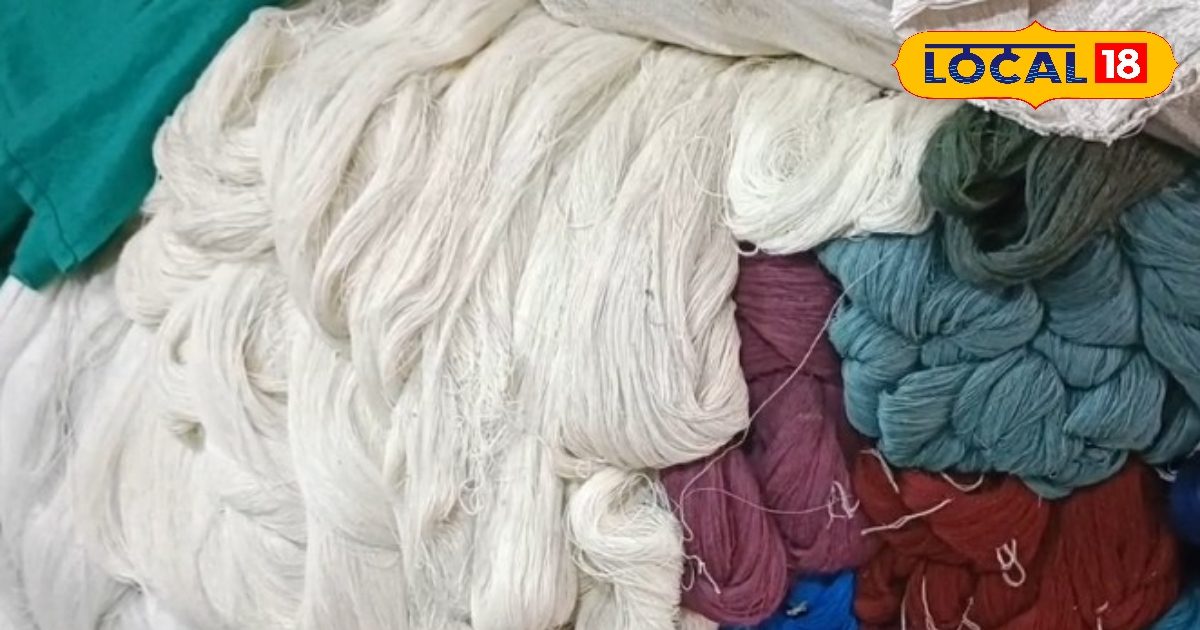 कोकून बैंक पर प्रशासन के बड़े दावे, लेकिन बुनकरों को अब तक नहीं मिली राहत, जानिए जमीनी हकीकत