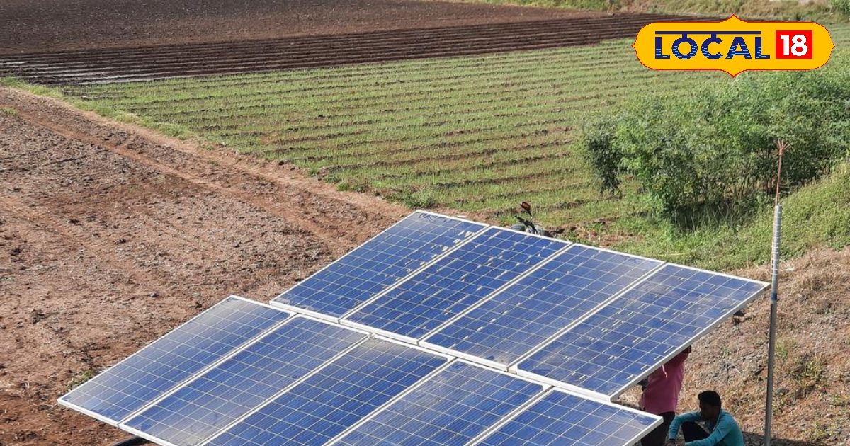 सोलर पैनल की देखभाल में न करें ये भूल, घट जाएगा बिजली उत्पादन, जानें सही तरीका