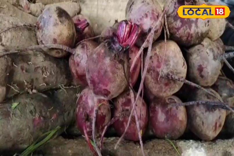 Moradabad news, hindi news, local news, up news, मुरादाबाद समाचार,हिंदी समाचार, लोकल समाचार,यूपी समाचार।