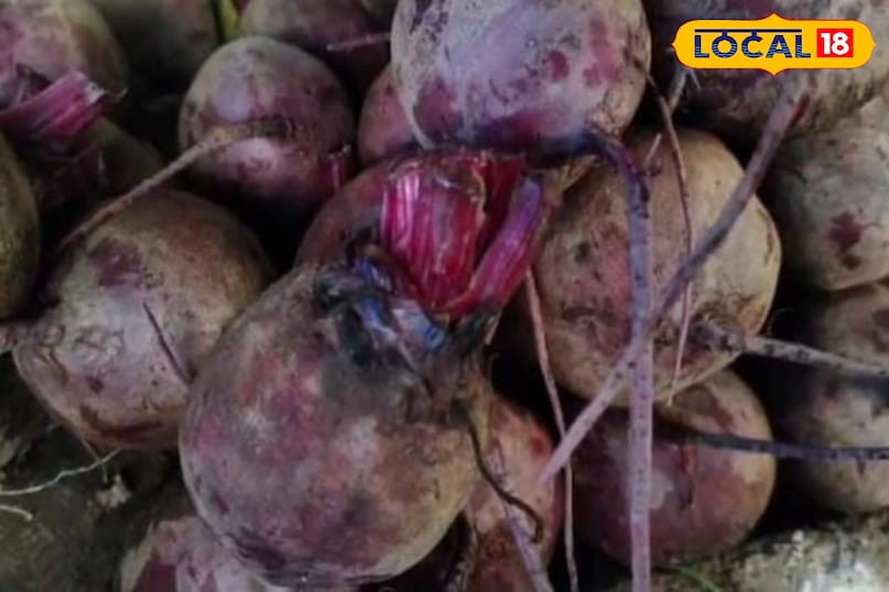 Moradabad news, hindi news, local news, up news, मुरादाबाद समाचार,हिंदी समाचार, लोकल समाचार,यूपी समाचार।