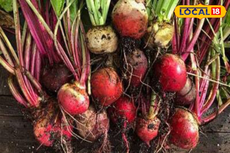 Moradabad news, hindi news, local news, up news, मुरादाबाद समाचार,हिंदी समाचार, लोकल समाचार,यूपी समाचार।