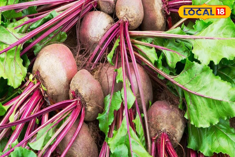 মোরাদাবাদের খবর, হিন্দি খবর, স্থানীয় খবর, আপ নিউজ, মোরাদাবাদের খবর, হিন্দি খবর, স্থানীয় খবর, ইউপি খবর। মোরাদাবাদের খবর, হিন্দি খবর, স্থানীয় খবর, আপ নিউজ, মোরাদাবাদের খবর, হিন্দি খবর, স্থানীয় খবর, ইউপি খবর।