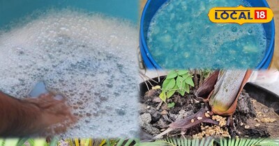 डितर्जन पानी