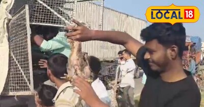 प्रतीकात्मक तस्वीर 