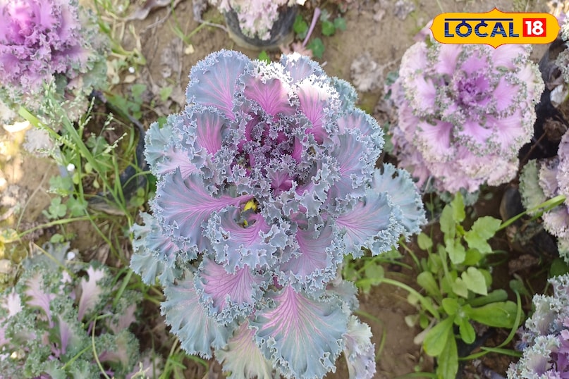 मिश्रण मिश्रण