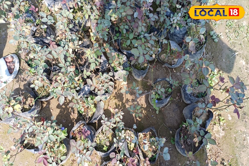 कब इस्तेमाल करें कब इस्तेमाल करें