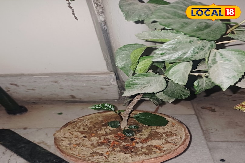 मिट्टी मिट्टी