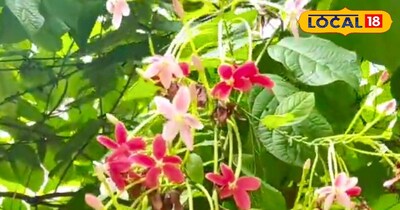 प्रतीकात्मक