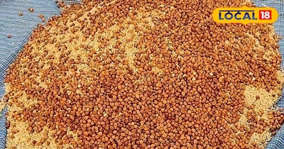 कभी गरीबों का खाना, अब सुपरफूड! सेहत के लिए मिलेट्स क्यों हैं खास.