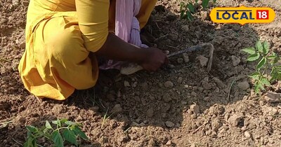 Jehanabad Farmers Rejoice! 80% Subsidy on Farm Tools, Manual Kit for Just Rs 400