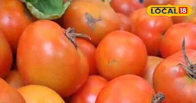 टमाटर सेहत के लिए होता है नुकसानदायक।