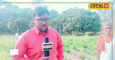 दरभंगा के किसान राम प्रसाद महतो ने एक खेत में 5 फसलें उगाकर आय तिगुनी की.