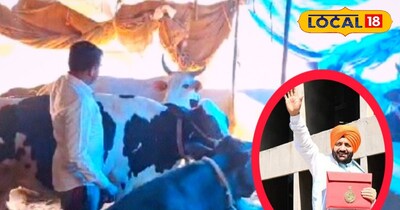 अंबाला डेयरी संचालक बोले सरकार योजनाओं से देती है फायदा,लेकिन कुछ लोग रहते वंचित