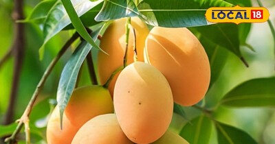 प्रतीकात्मक तस्वीर 