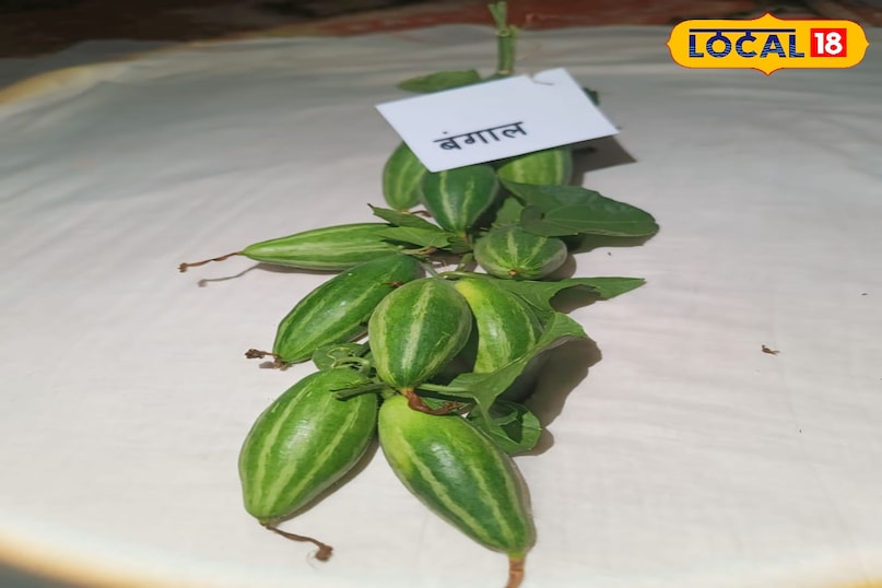 स्वादिष्ट