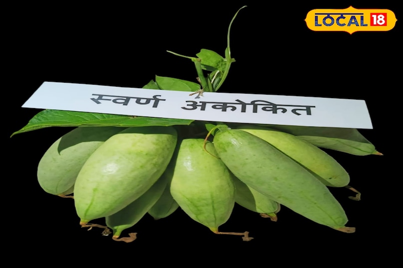 स्वादिष्ट