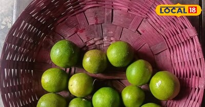 नींबू को सूखने से बचाने के लिए अपनाएं कुछ घरेलू उपाय