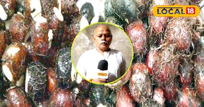 कसेरू फल