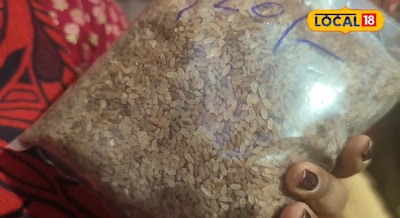 कोई पारले जी कहे तो कोई घोड़ा कहे, इस चावल के है अनेकों नाम, डायबिटीज से लेकर डा