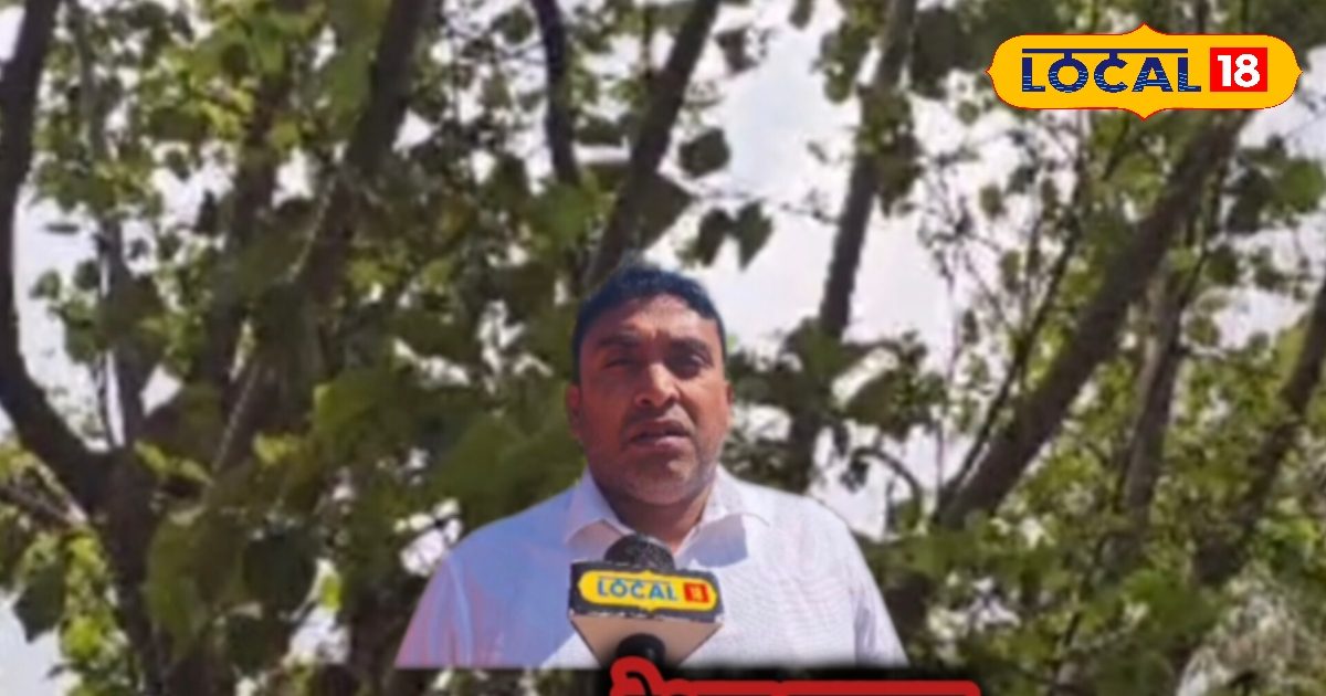 एक खेत, दो कमाई! शहतूत की खेती से डबल कमाई, फल भी, रेशम भी, किसान बनेंगे मालामाल