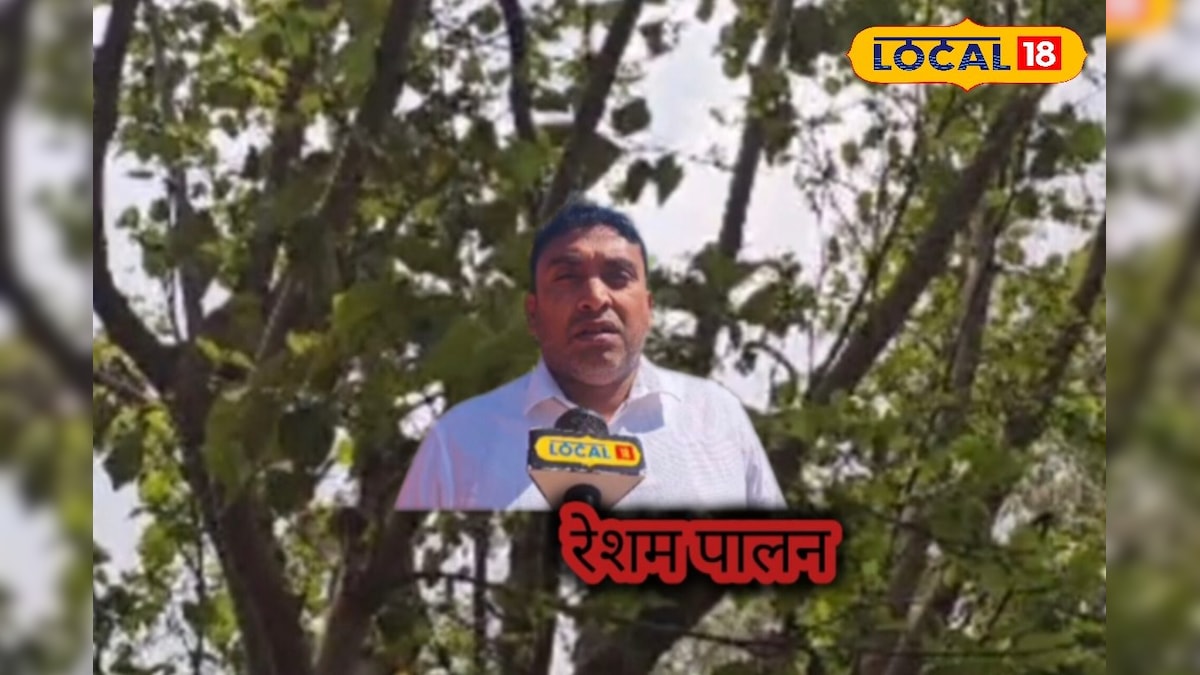 मार्च में शुरू करें शहतूत की खेती, रेशम पालन से मिलेगा छप्परफाड़ मुनाफा, सरगुजा से संजय से समझें