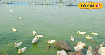 परिवार के साथ घूमने के लिए बेहतरीन माना जा रहा है.