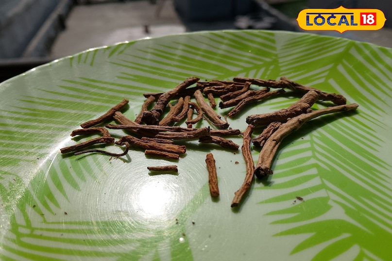 where you can find the katki 