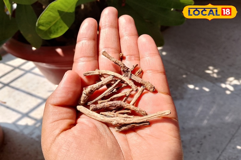 beneficial for fever 