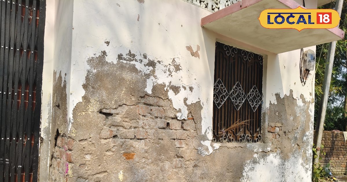 घर के दीवार की पुट्टी पपड़ी बनकर निकल रही बाहर? कहीं आप ये गलती तो नहीं कर रहे, एक्सपर्ट ने बताए बचाव के उपाय घर के दीवार की पुट्टी पपड़ी बनकर निकल रही बाहर? कहीं आप ये गलती तो नहीं कर रहे, एक्सपर्ट ने बताए बचाव के उपाय