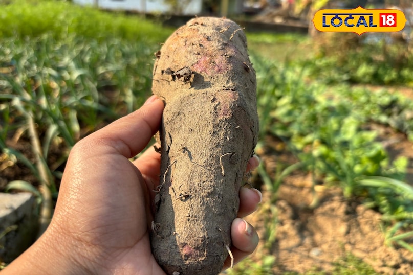 Available in many colors 