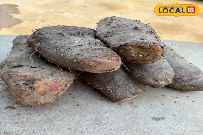 The perfect combination of taste and health