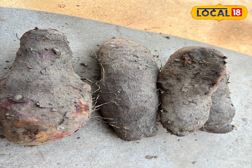 Source of income for farmers