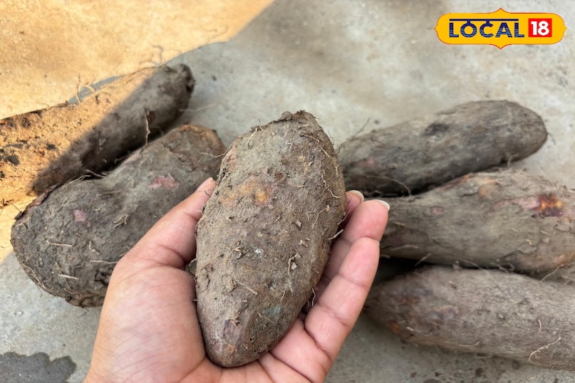 Taste of traditional cooking 