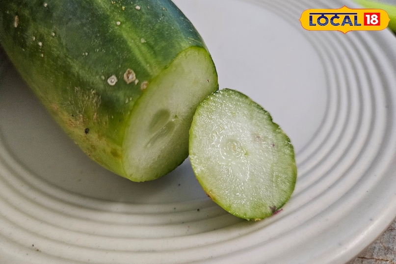 কেন শসা সাদা ফেনা তৈরি করে