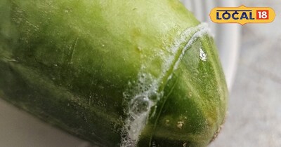 खीरे का सिरा घिसते ही क्यों निकलता है सफेद झाग