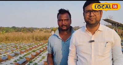 Gumla Farmer Transforms Barren Land with Strawberries, Earns ₹10K Daily
