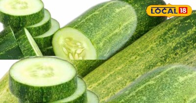 खीरे कि खेती