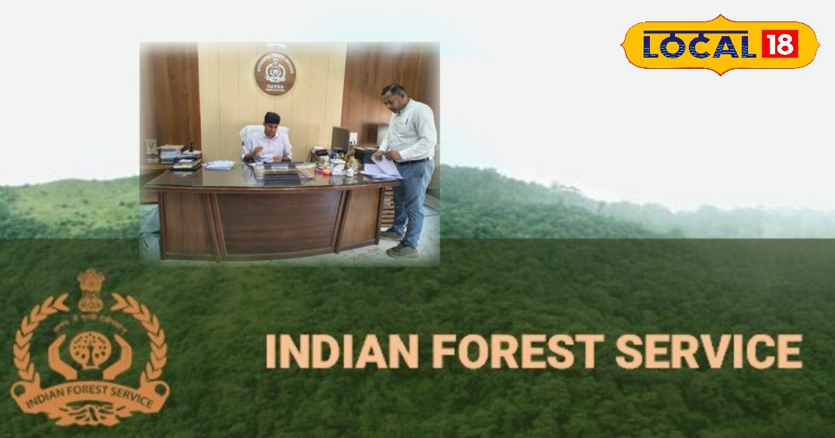 आईएफएस अफसर बनने का सपना? डीएफओ ने दिए कमाल के टिप्स, इन बातों पर ध्यान दें