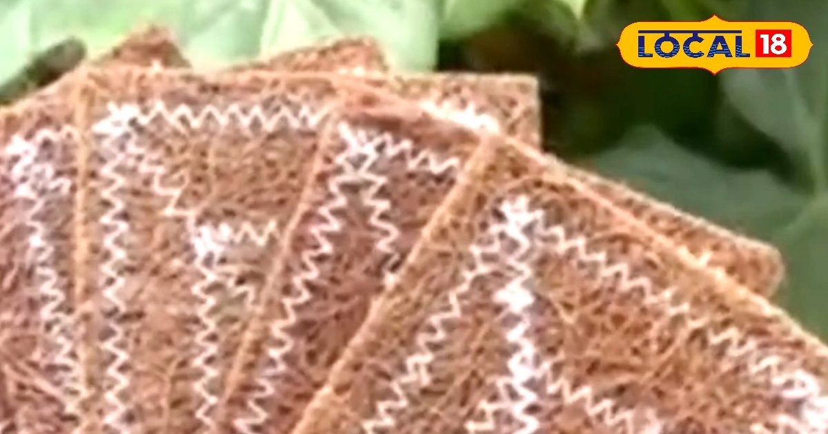 ₹5 में तैयार, बाजार के ₹200 ब्रश को कहें अलविदा! कम लागत में नारियल से बनाए स्क्रब