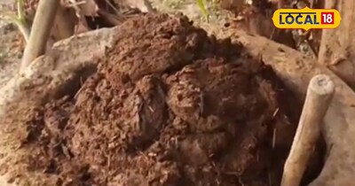 Boost Your Summer Harvest: Prepare Soil in March with Organic Fertilizers!