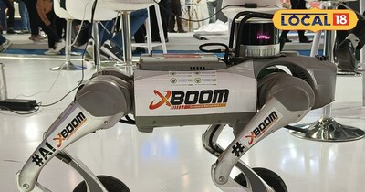 भारतीय डॉग रोबोट 