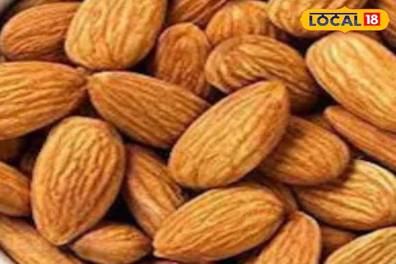 মোরাদাবাদের খবর, হিন্দি খবর, আপ নিউজ, স্থানীয় খবর, মোরাদাবাদের খবর, হিন্দি খবর, স্থানীয় খবর, ইউপি খবর।