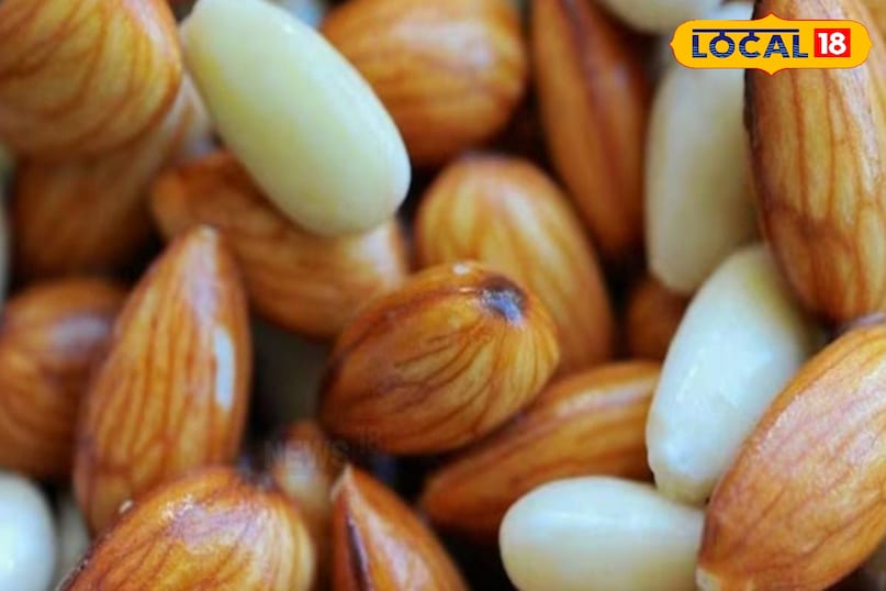 মোরাদাবাদের খবর, হিন্দি খবর, আপ নিউজ, স্থানীয় খবর, মোরাদাবাদের খবর, হিন্দি খবর, স্থানীয় খবর, ইউপি খবর।