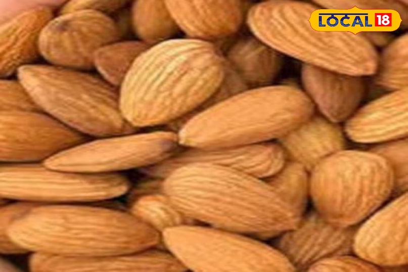 মোরাদাবাদের খবর, হিন্দি খবর, আপ নিউজ, স্থানীয় খবর, মোরাদাবাদের খবর, হিন্দি খবর, স্থানীয় খবর, ইউপি খবর।