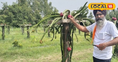 रामपुर के 5 किसान बने मिसाल, नई खेती से कमा रहे लाखों, देश-विदेश तक पहुंच रहा मा