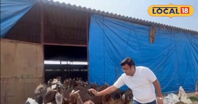 बकरी पालन करने वाला किसान 