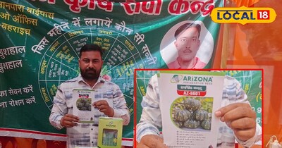 कद्दू की उन्नत बीज!